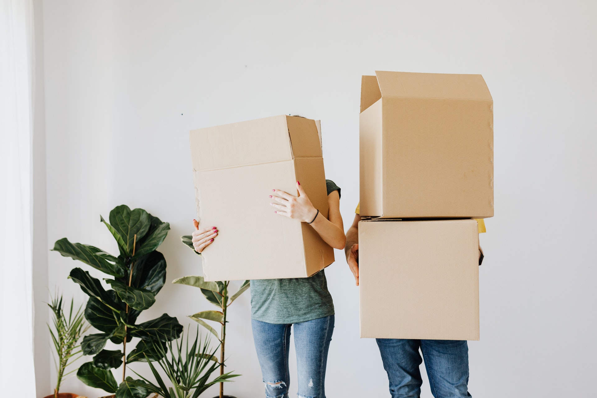 is removal company necessary